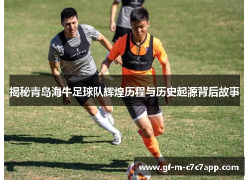 揭秘青岛海牛足球队辉煌历程与历史起源背后故事