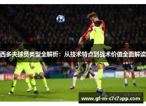 西多夫球员类型全解析：从技术特点到战术价值全面解读