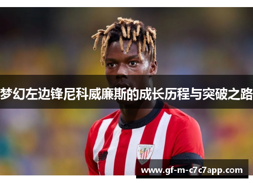 梦幻左边锋尼科威廉斯的成长历程与突破之路