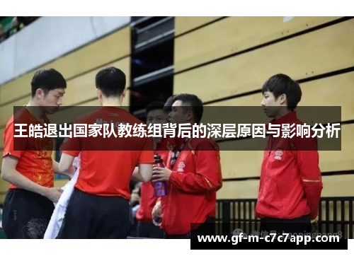 王皓退出国家队教练组背后的深层原因与影响分析