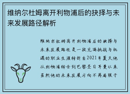 维纳尔杜姆离开利物浦后的抉择与未来发展路径解析 维纳尔杜姆离开利物浦后的抉择与未来发展路径解析
