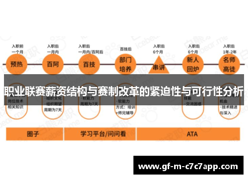 职业联赛薪资结构与赛制改革的紧迫性与可行性分析