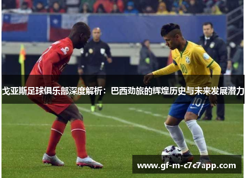 戈亚斯足球俱乐部深度解析：巴西劲旅的辉煌历史与未来发展潜力
