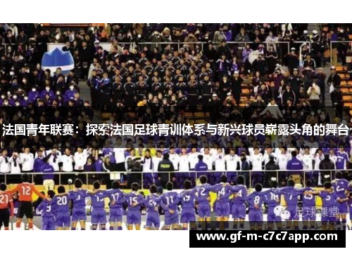 法国青年联赛：探索法国足球青训体系与新兴球员崭露头角的舞台