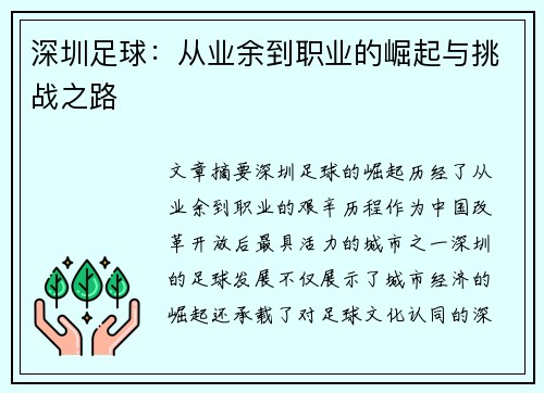 深圳足球：从业余到职业的崛起与挑战之路